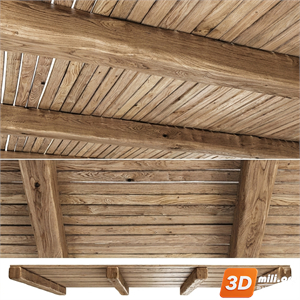Ceiling Decoration Skp Files